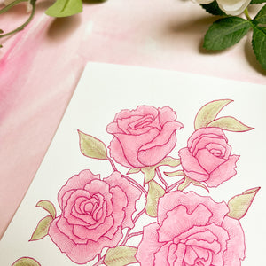 fuchsia rose drawing 