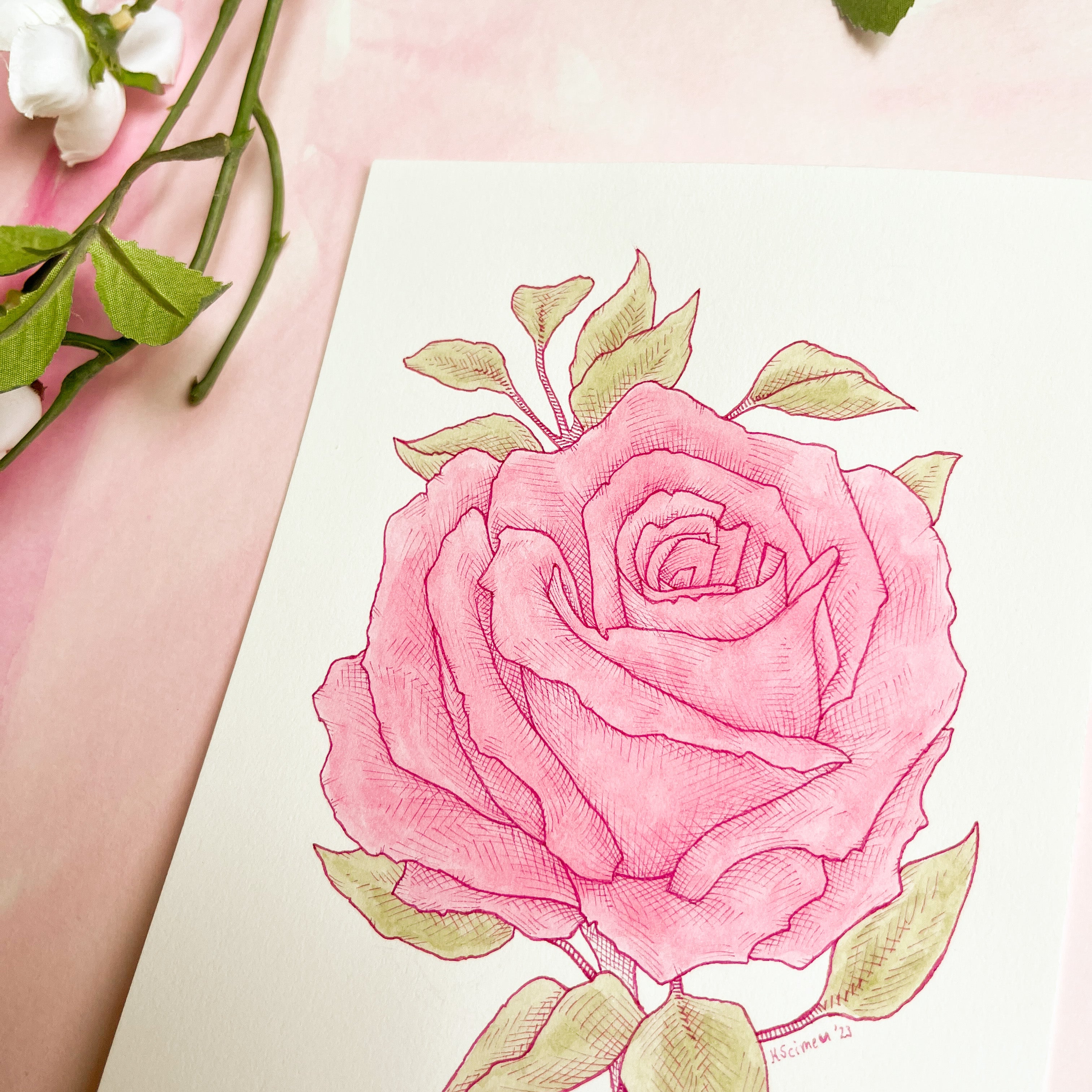 rose drawing watercolor